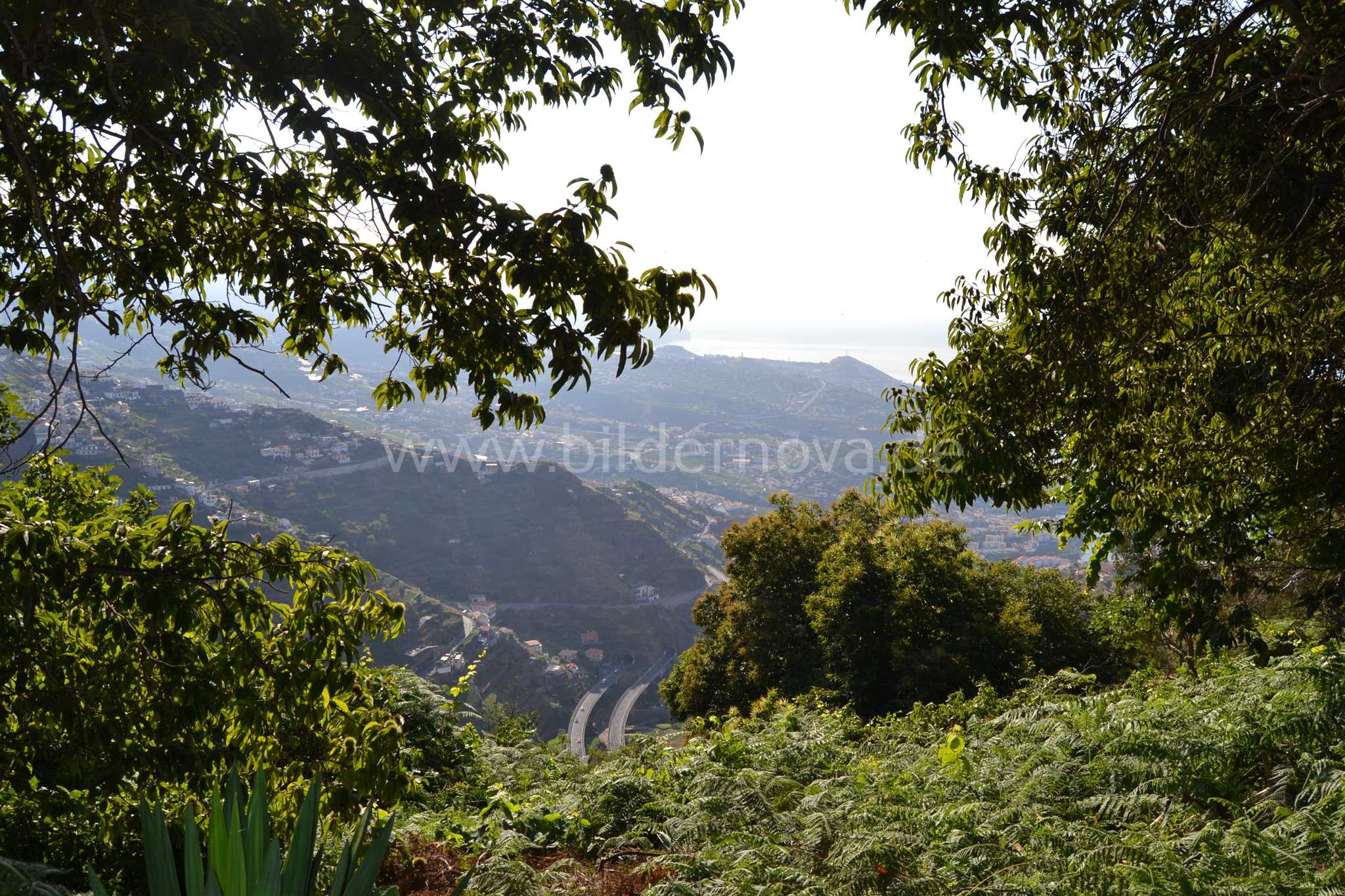 Madeira/Portugal - Ausblick (ID: 000058)