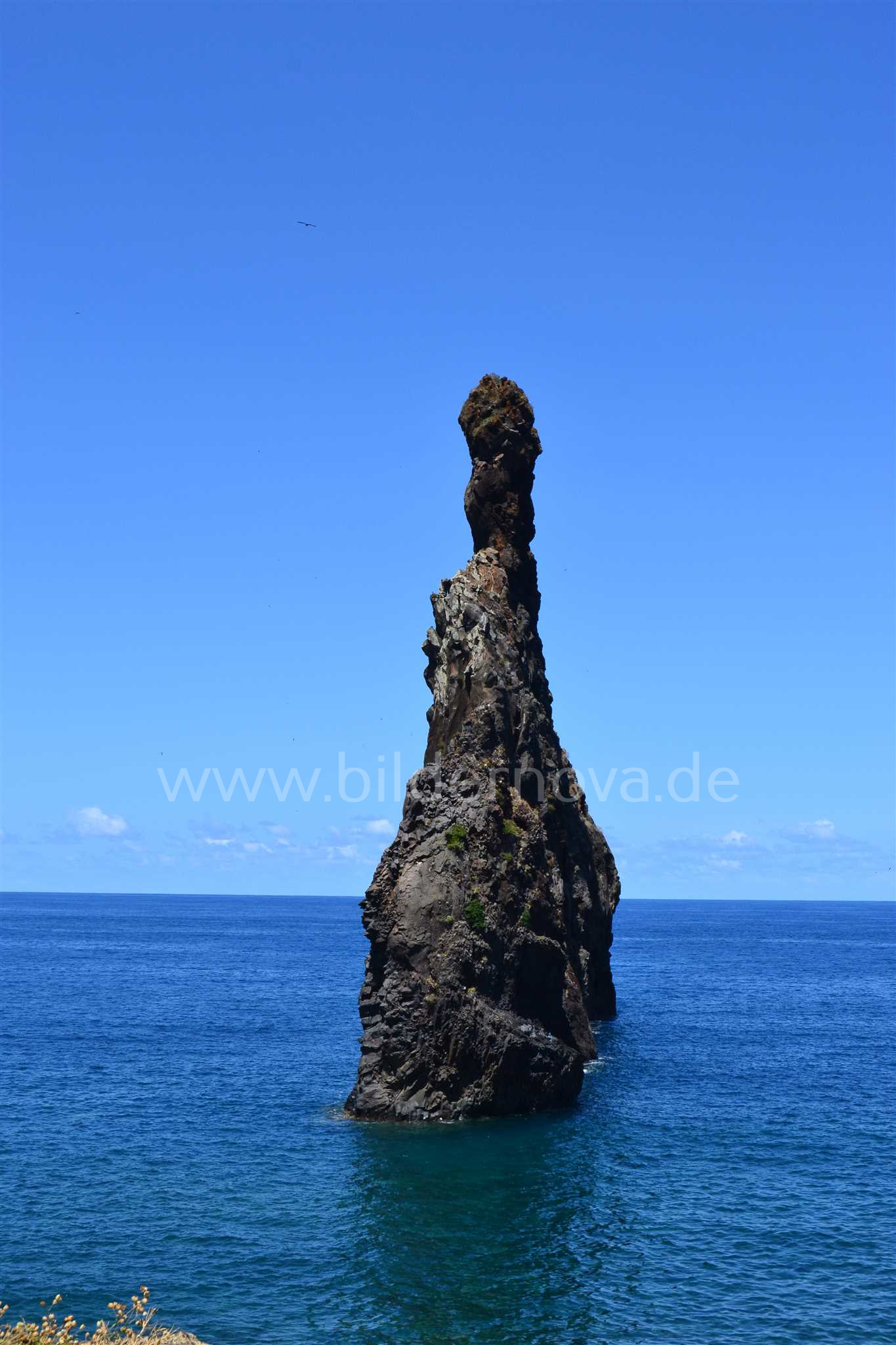 Madeira/Portugal - Felsfinger (ID: 000060)